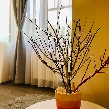 Apartment Modern In A Quiet Area - Spitalul Judetean Is14 *